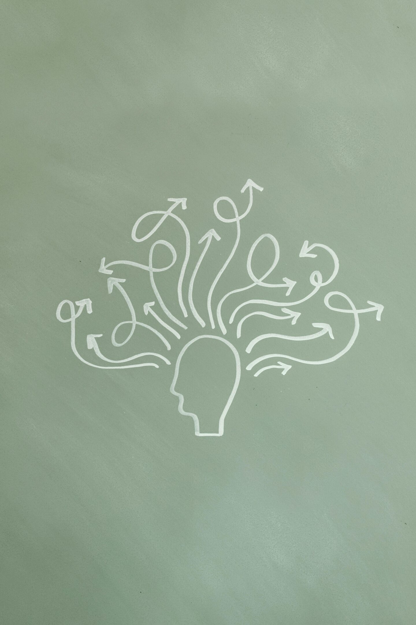 A chalk drawing of a human head with arrows around it